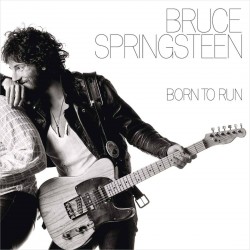 Bruce Springsteen - Born To...