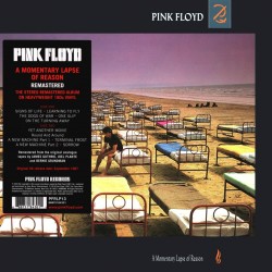 Pink Floyd - A Momentary...