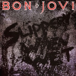 Bon Jovi - Slippery When...