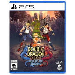 Double Dragon Gaiden: Rise...